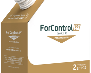 ForControl BP